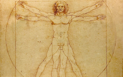 Fysiologins grunder (gy11)