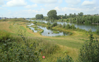 Ekologi
