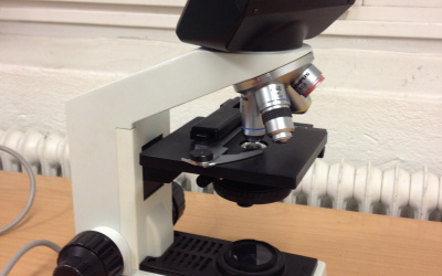 Cell­- och molekylärbiologi