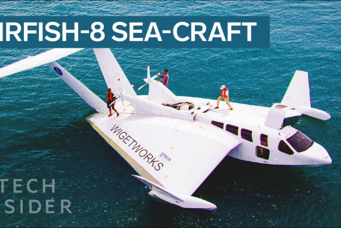 Airfish-8