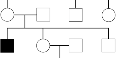Prov 2024-12-03 om Klassisk genetik och Grundläggande evolutionsteori