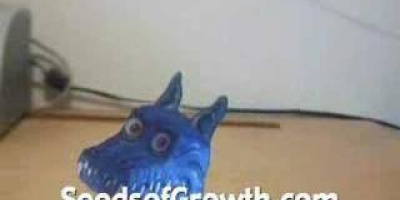 Gör din egen drak-synvilla