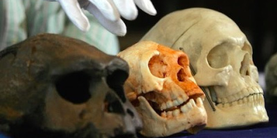 Homo floresiensis ställer frågan på sin spets: Vad innebär det att vara 