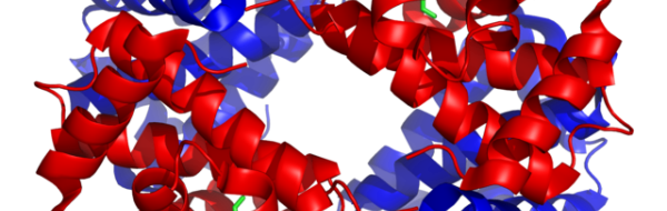 Proteinernas biologiska funktioner