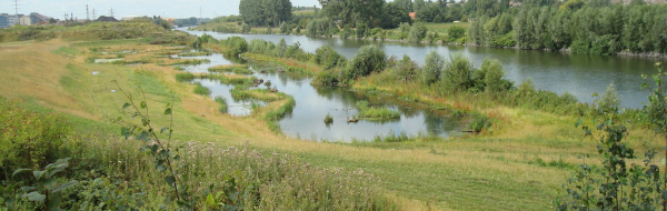 Prov 2006-11-10 i Ekologi
