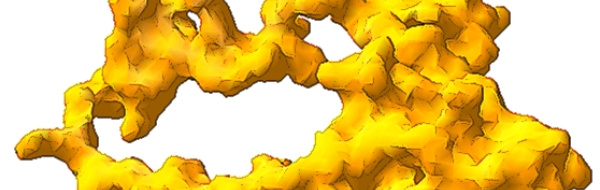 Storleks­kromatografi: Gel­filtrering