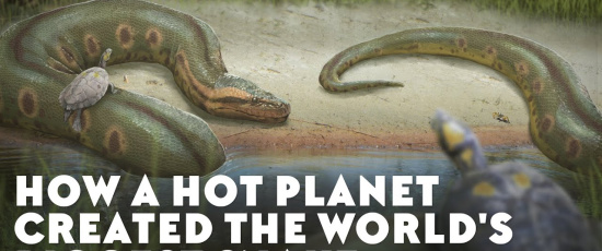 Hur en het planet skapade världens största orm