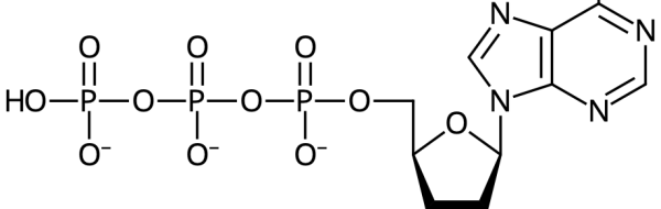 Prov 2013-05-31 i Biokemi (katabolism)