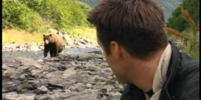 Närkontakt med grizzlybjörnen