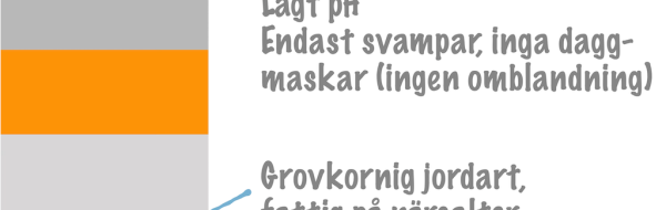 Prov 2026-06-09 om fördjupad Klassisk genetik och Ekologi