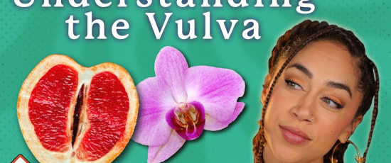 Vulvan och vaginan förklarade