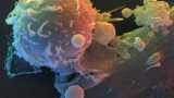 Årets Nobelpris i Fysiologi/Medicin 2011