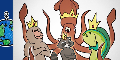 Mellanpredatorns uppgång