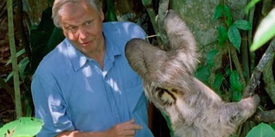 David Attenborough skrämmer en sengångare