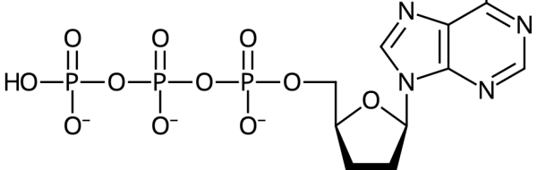 Bärarmolekyler