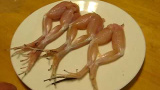 Sprattlande grodlår