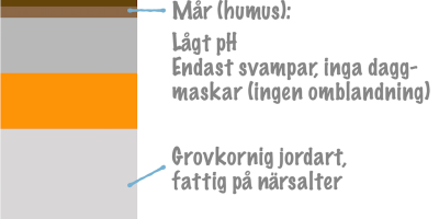 Prov 2026-06-09 om fördjupad Klassisk genetik och Ekologi