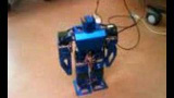Robo-gymping