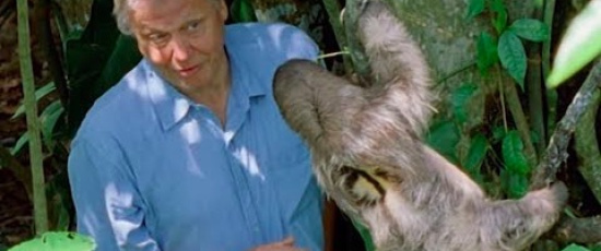 David Attenborough skrämmer en sengångare