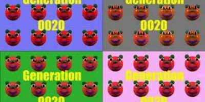 Evolution