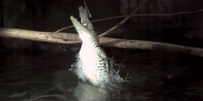 Krokodil-attack!