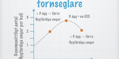 Evolutionärt stabila strategier. Social organisation (gammal)
