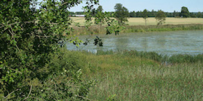Övergödning