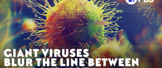 Jättevirus suddar gränsen mellan levande och icke-levande