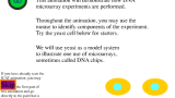 Hur DNA-chip fungerar