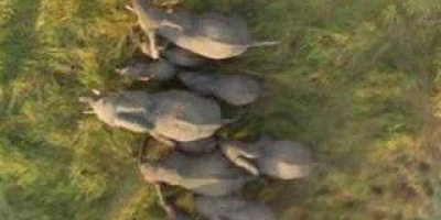 Se världen med Google Earth