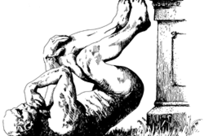 Årets Ig Nobel-priser 2010: Helikoptrar, berg-och-dalbanor och oralsex. Bland annat.