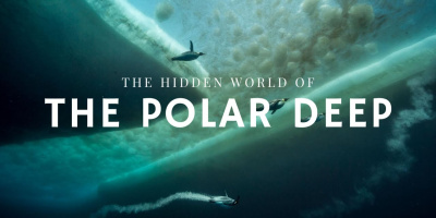 Jättar i polarhavens djup