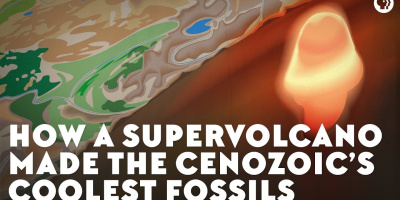 Hur en supervulkan skapade kenozoikums häftigaste fossil