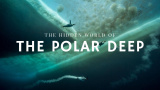 Jättar i polarhavens djup