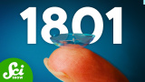 Sex uppfinningar som är äldre än vad du tror