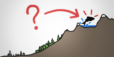 Hur hamnar fiskar i bergssjöar?