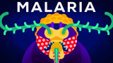 Det senaste vapnet mot malaria
