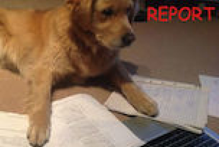 Avd. f. kemiska knasigheter del 19: Labbe-rapport