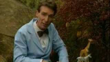 Bill Nye förklarar evolutionen