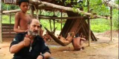 Hur man skyddar indianstammar i Amazonas