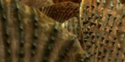 Monstrens tid del 2: Reptilernas början
