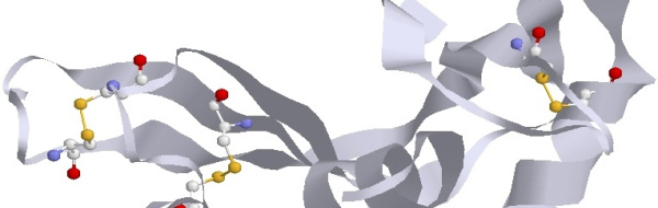 Ett proteins struktur bestäms av dess amino­syra­sekvens