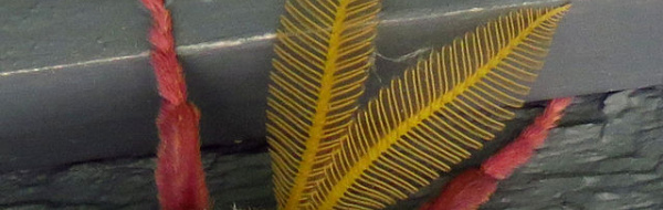Lukt och smak