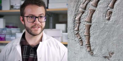Mjukvävnad från 183 miljoner år gammal Plesiosaurus analyserad