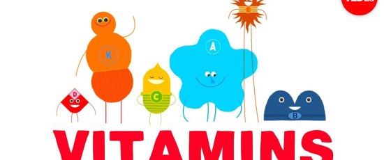 Hur funkar vitaminer?