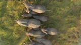 Se världen med Google Earth