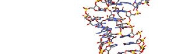 RNA och RNA-syntes