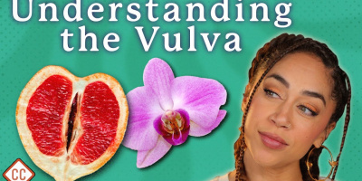 Vulvan och vaginan förklarade