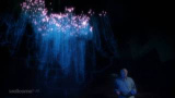 Tips: Livets träd på webben