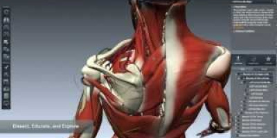 Tips: BioDigital Human – Explore the Human Body in 3D!